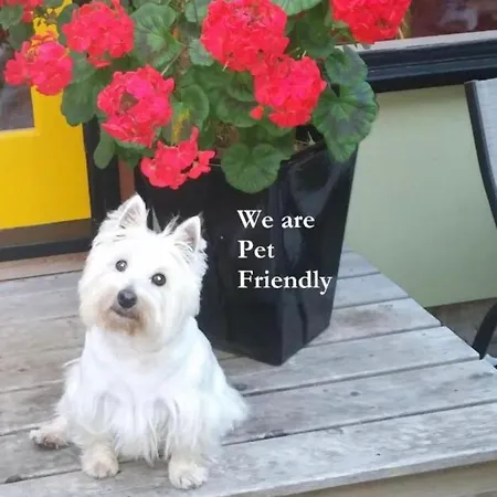 Apartman Space In Centrum